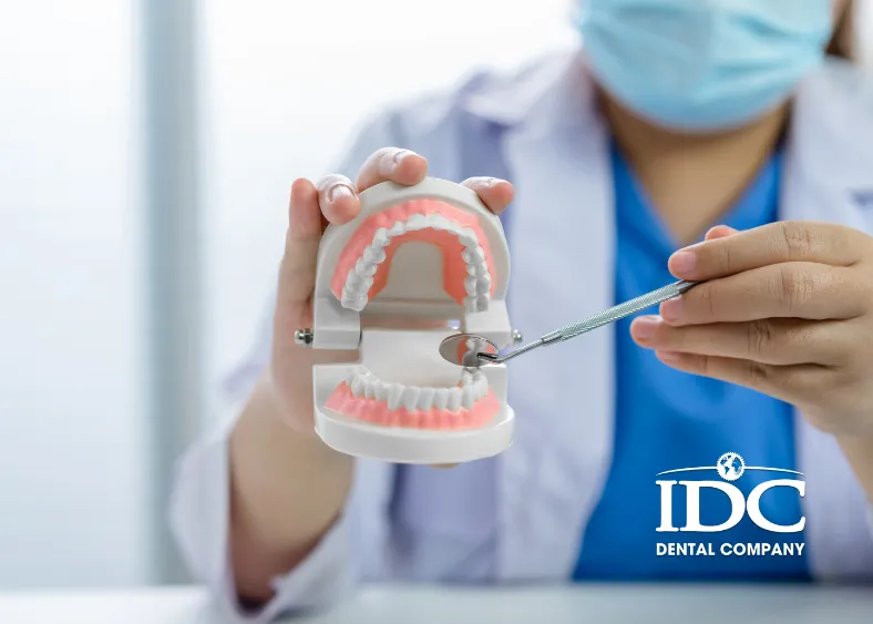 How Often Should You Schedule a Teeth Cleaning?