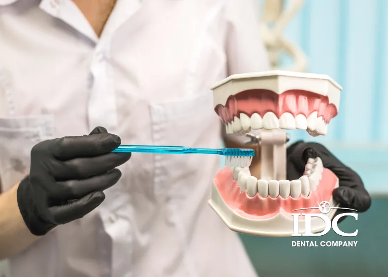 Factors That Affect Teeth Cleaning Frequency