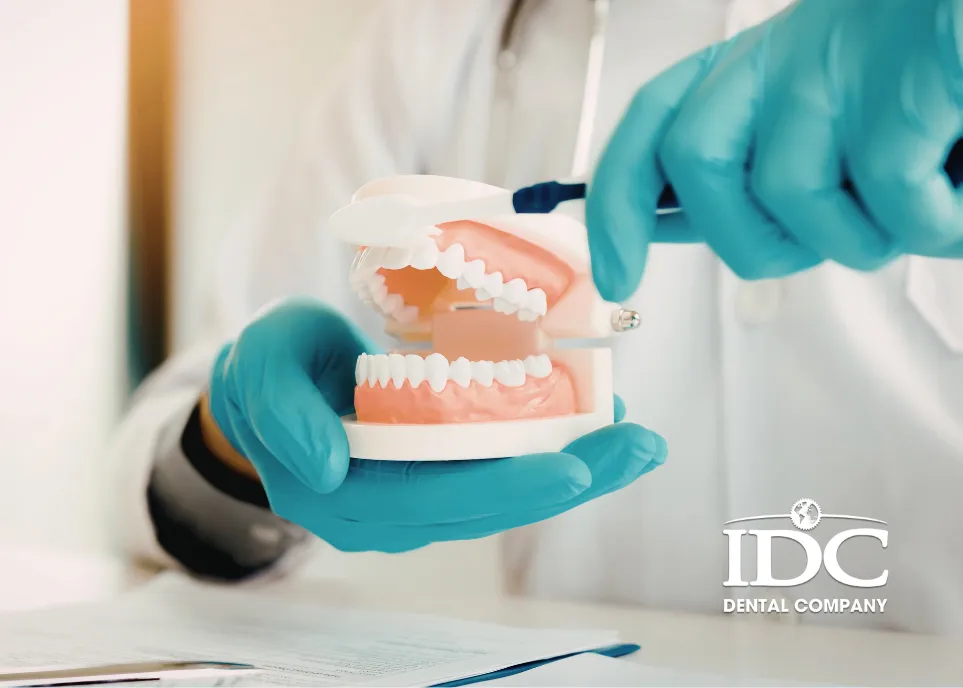 Reputable General Dental Treatment Clinics for Expats and Tourists in Da Nang