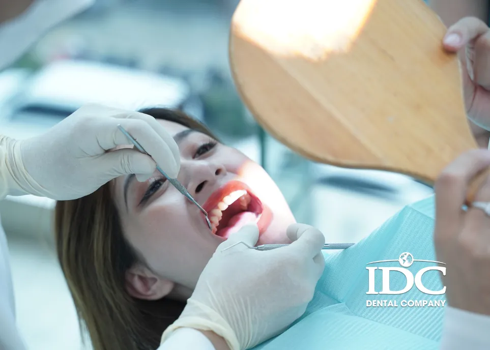 Những ai nên lựa chọn IDC Đà Nẵng?