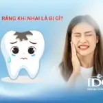 dau rang khi nhai la gi