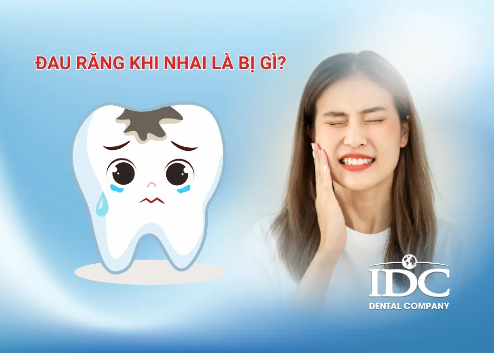 dau rang khi nhai la gi