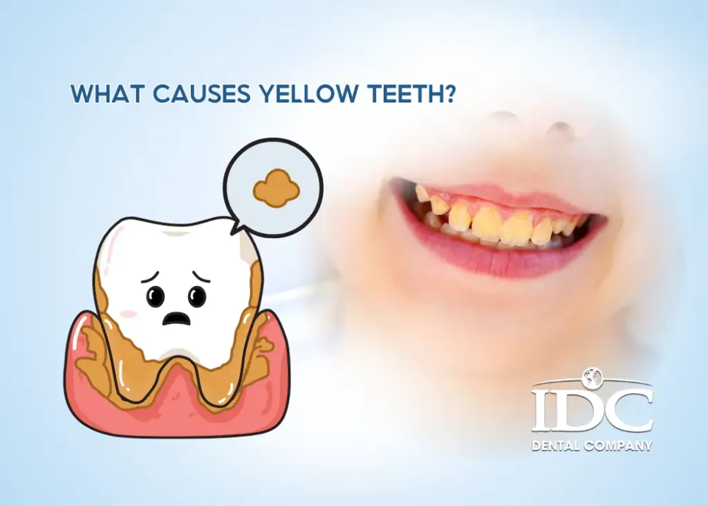What Causes Yellow Teeth
