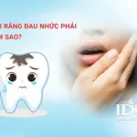 sau rang dau nhuc phai lam sao